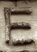 Wall_Art_Alphabet_Photography_Art_ 528